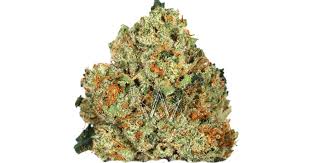 Photograph of product: Flower | SFV OG - 3.5g