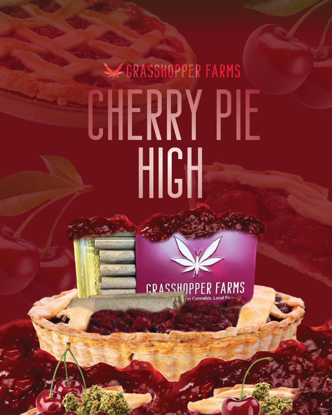 Photograph of product: Cherry Pie High | 1G Infused Prerolls 5PK