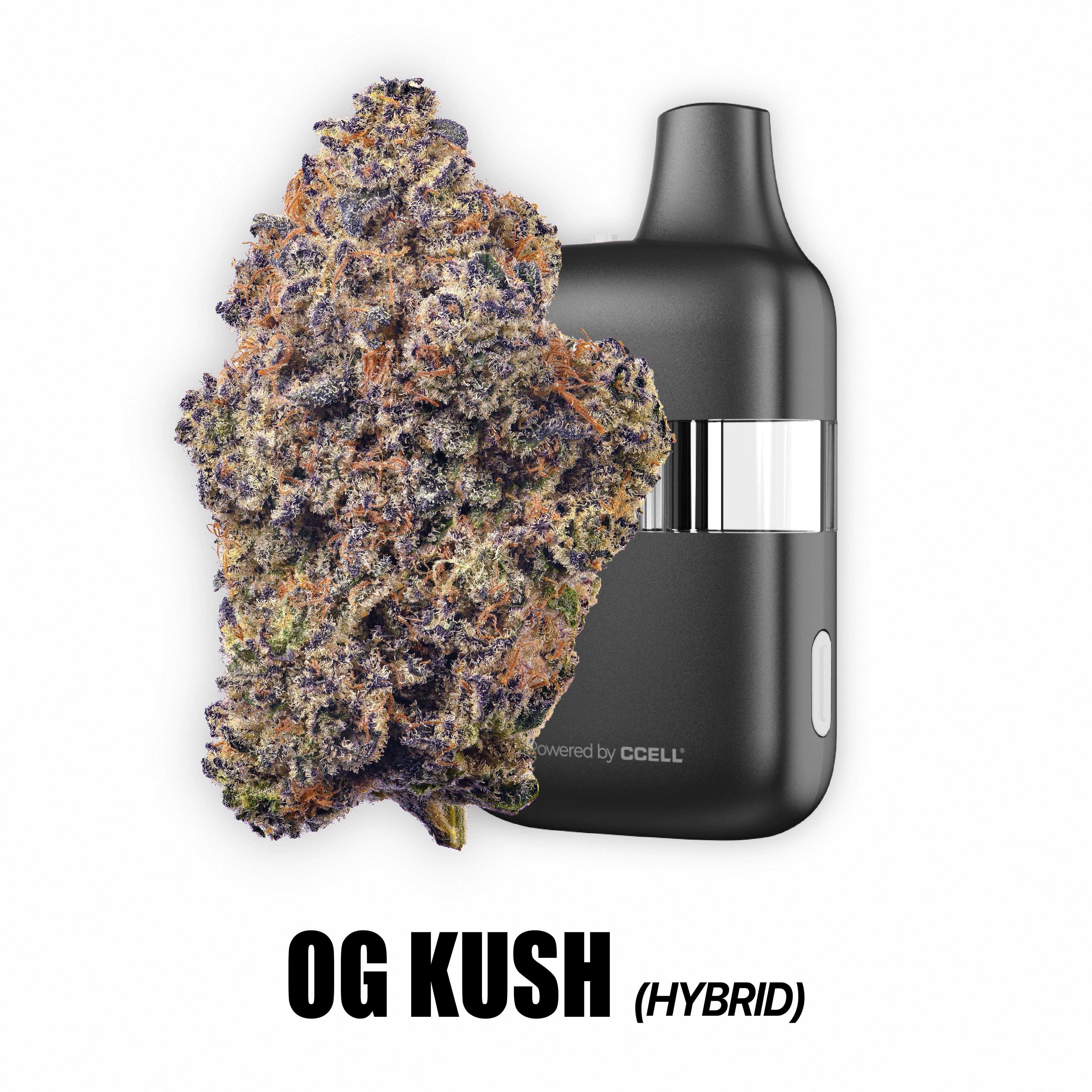 Photograph of product: OFFBRAND | OG Kush Hybrid Disposable | 2g