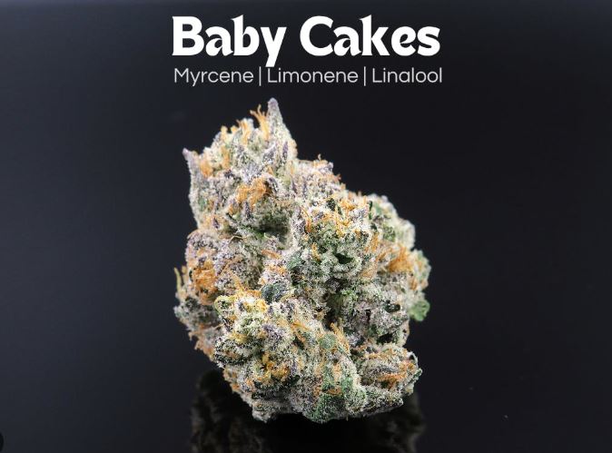 Photograph of product: Baby Cakes 2.83g
