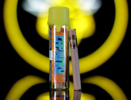 Photograph of Product: Cannabee | Cap Junky | Cannagar