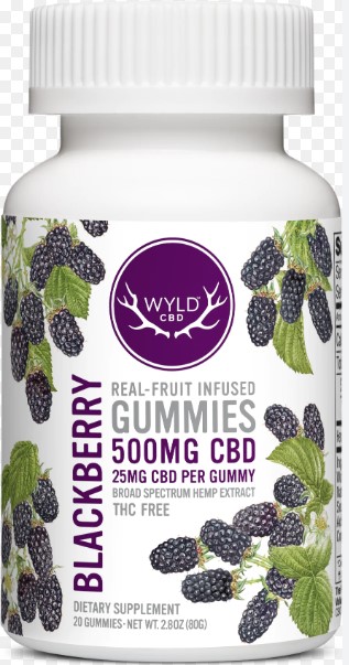 Photograph of product: CBD Gummies | Blackberry Gummies | 20 Pack 500mg