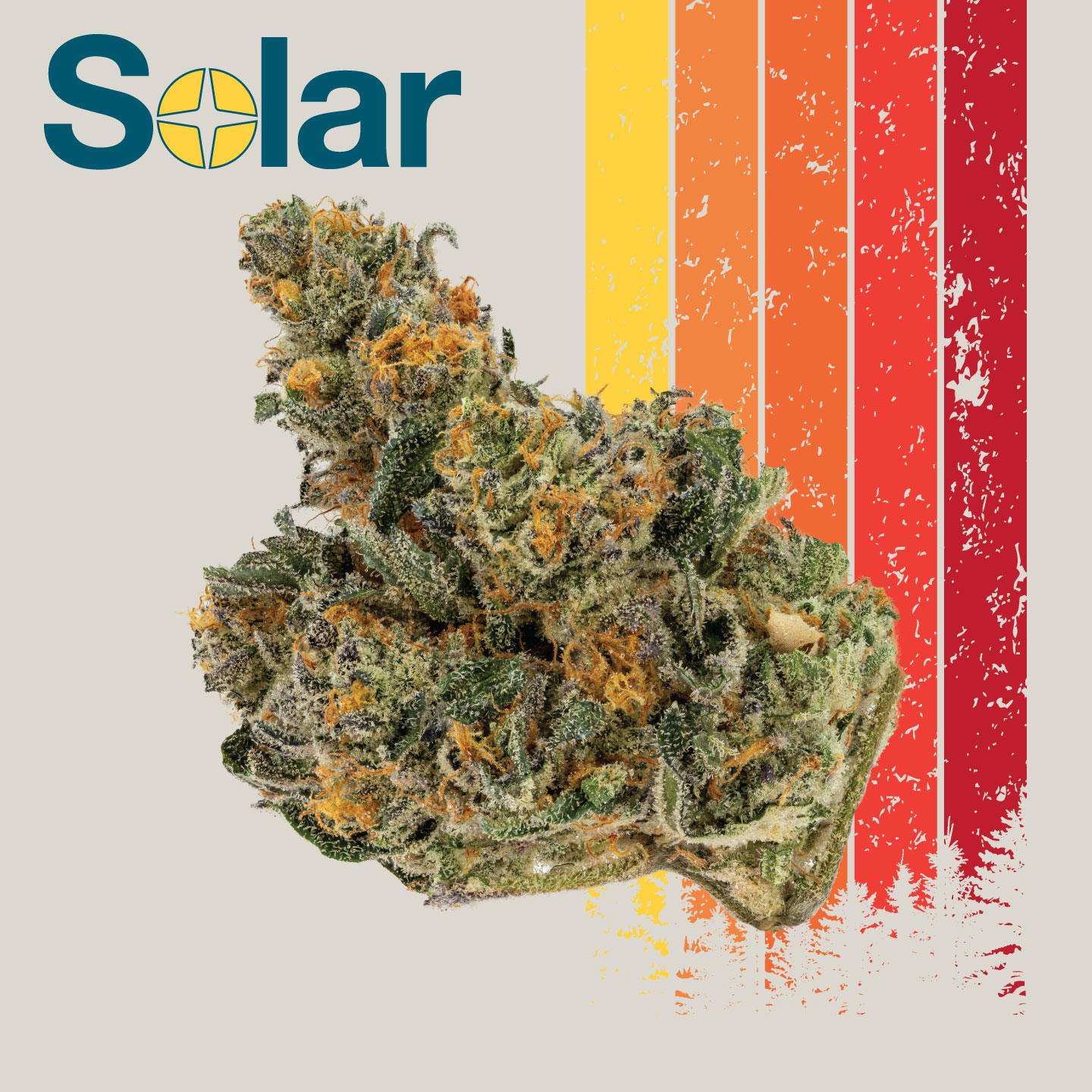 Photograph of product: Pink Certz | Solar - 3.5g