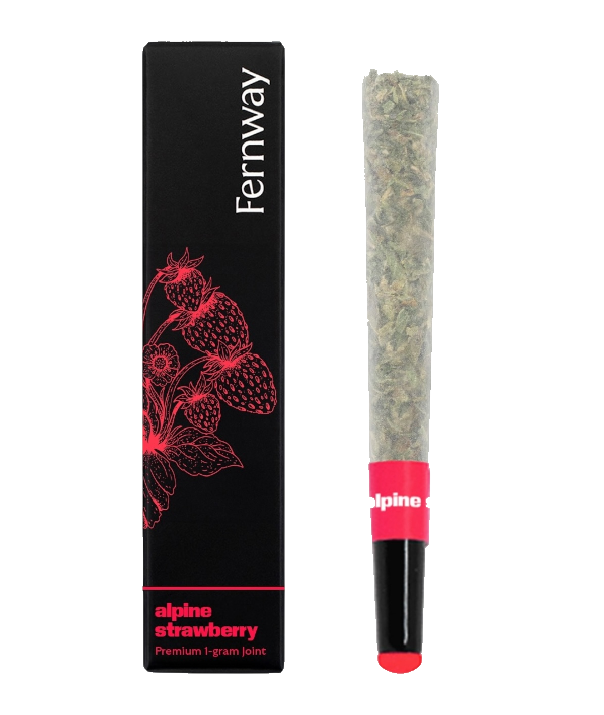 Photograph of product: Berry Haze | Single | 1G