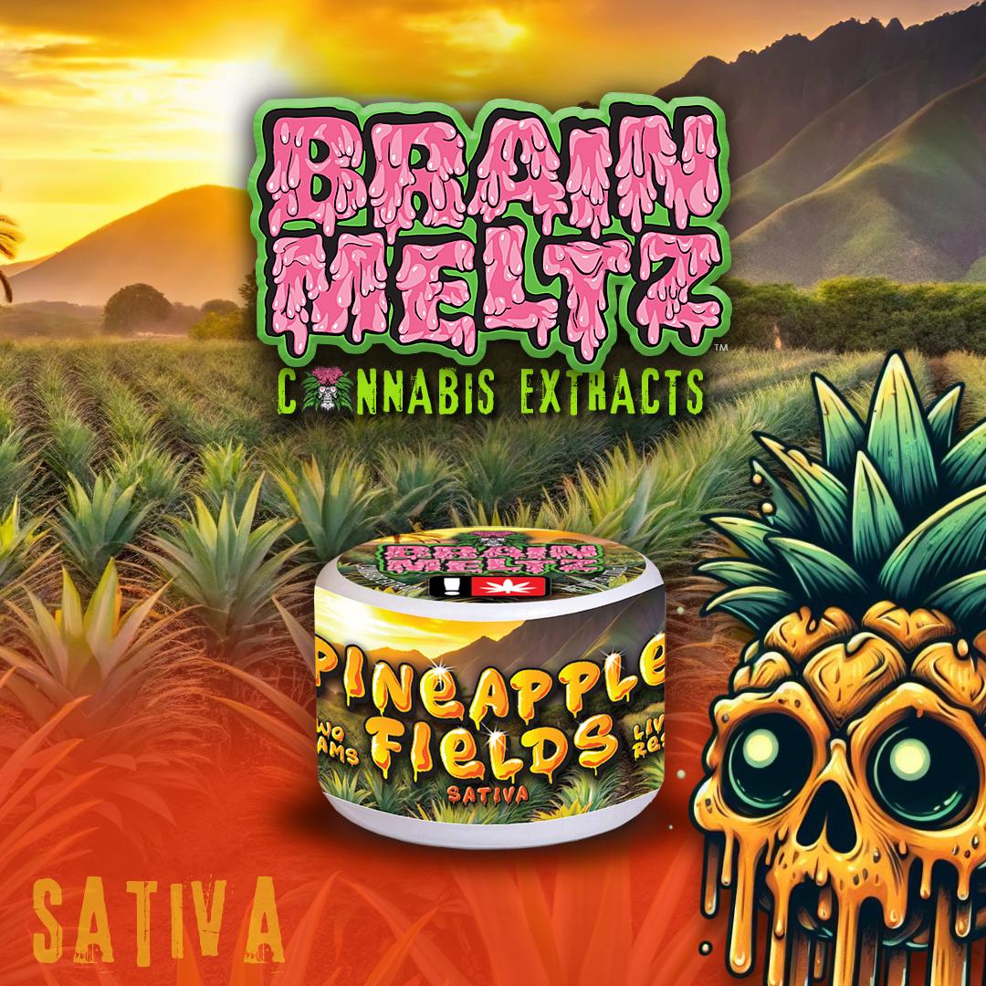 Photograph of product: Live Resin - 2g Brain Meltz - - Pineapple Fields