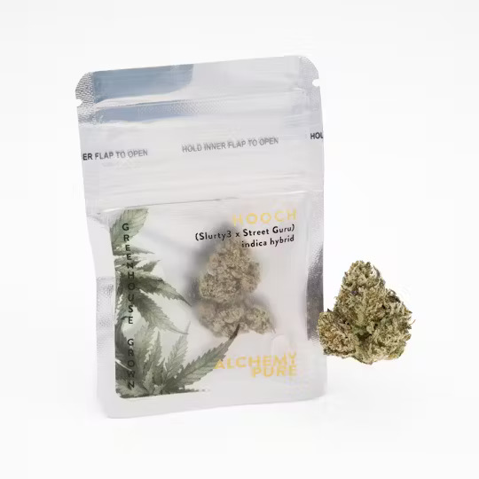 Photograph of product: Hooch | Flower | Dime (IDH) - .7g