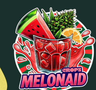 Photograph of product: Crops | Melonaid | 28g