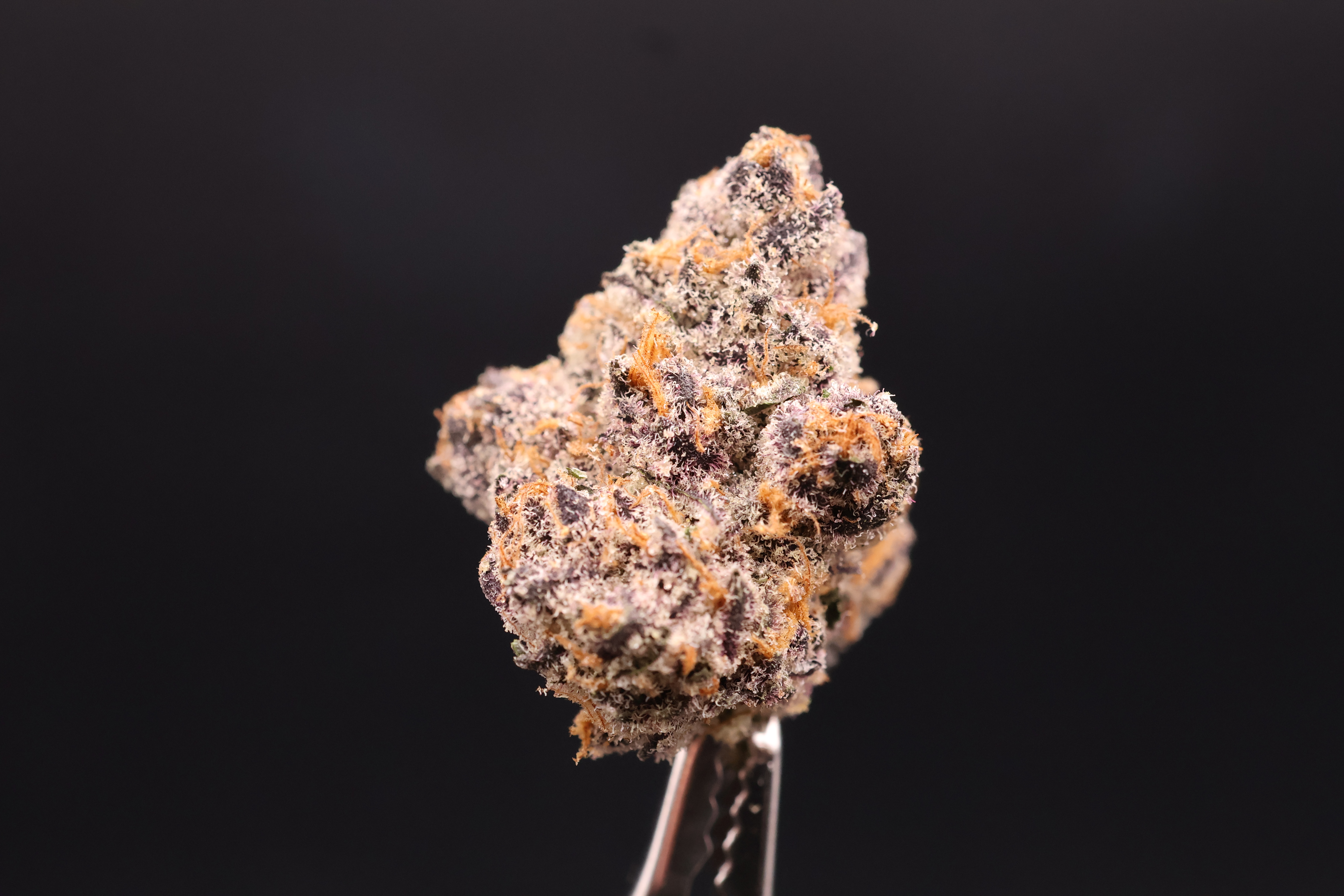 Photograph of product: Gelonade (Resin Ranchers) - 28g