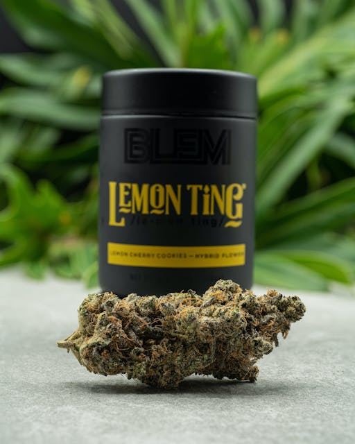 Photograph of Product: Lemon Ting | 3.5g Flower