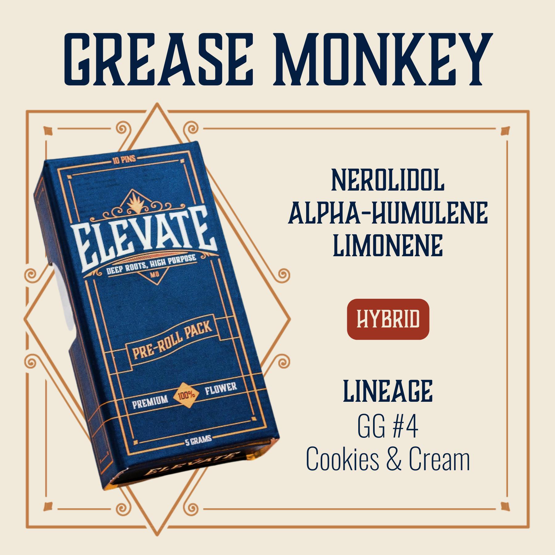 Photograph of product: ELEVATE - PINS - PREROLL - 0.5G - 10PK - GREASE MONKEY - HYBRID