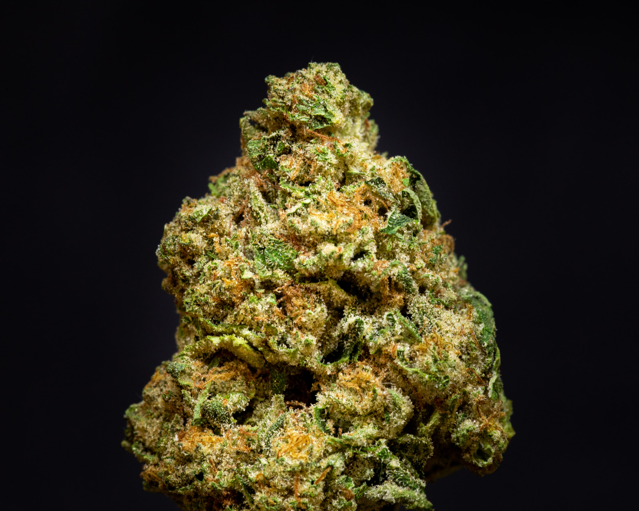 Photograph of product: Gold Shelf - Forbidden Melonz (I) - 28g