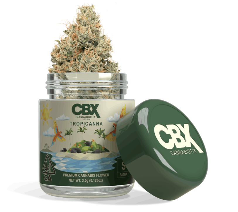 Photograph of product: CBX - FLOWER 1/8TH - TROPICANNA