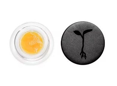 Photograph of product: PB Souffle Live Badder 1g - Live Badder