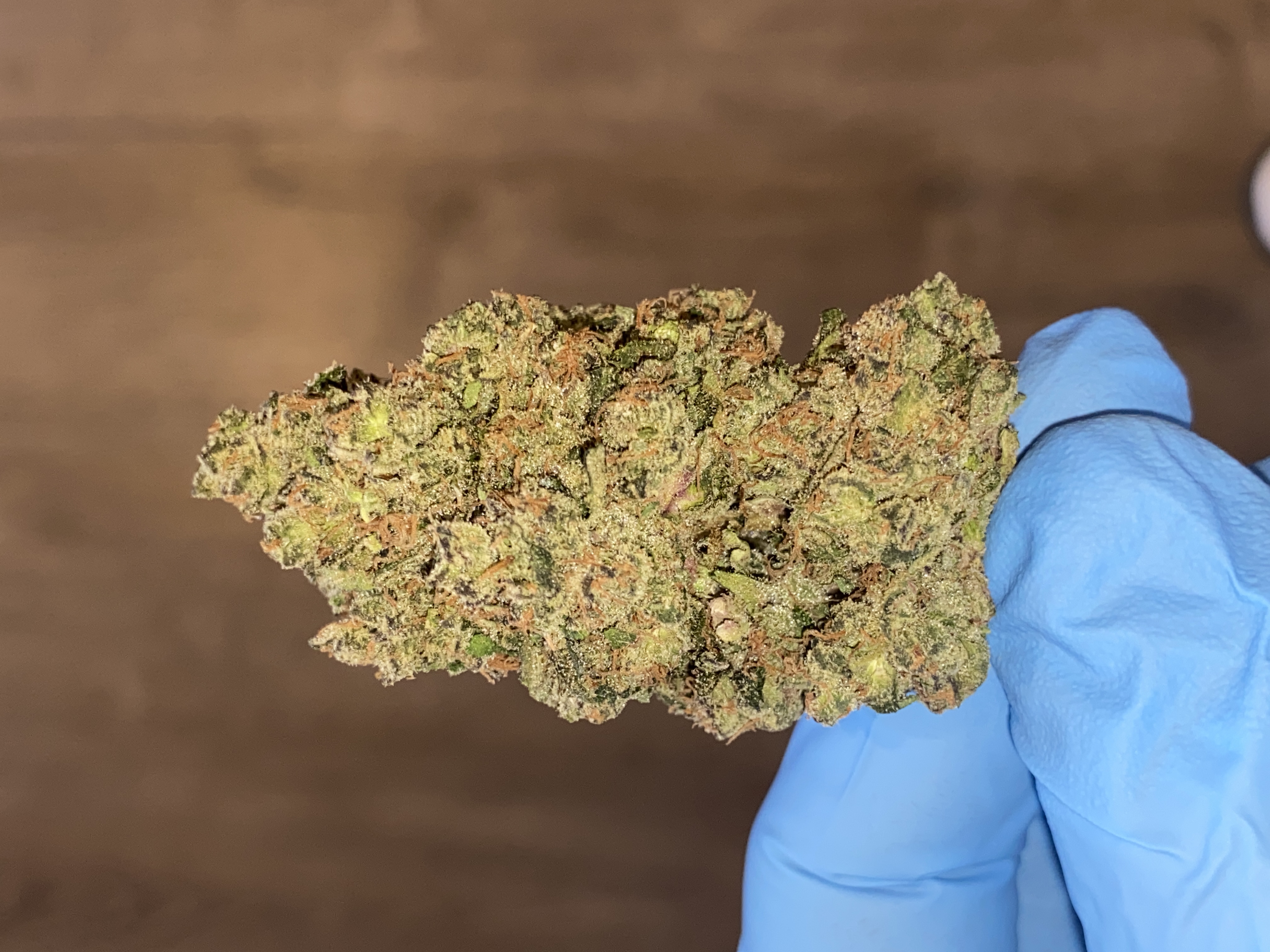 Photograph of product: Black Patronus | Premium Flower - 28g