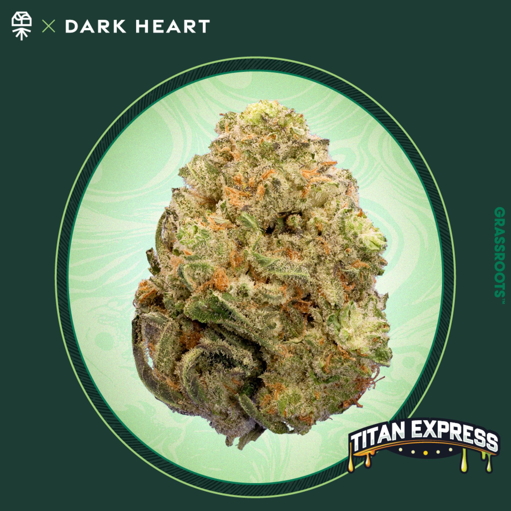 Photograph of product: Dark Heart Titan Express Whole Flower 3.5g
