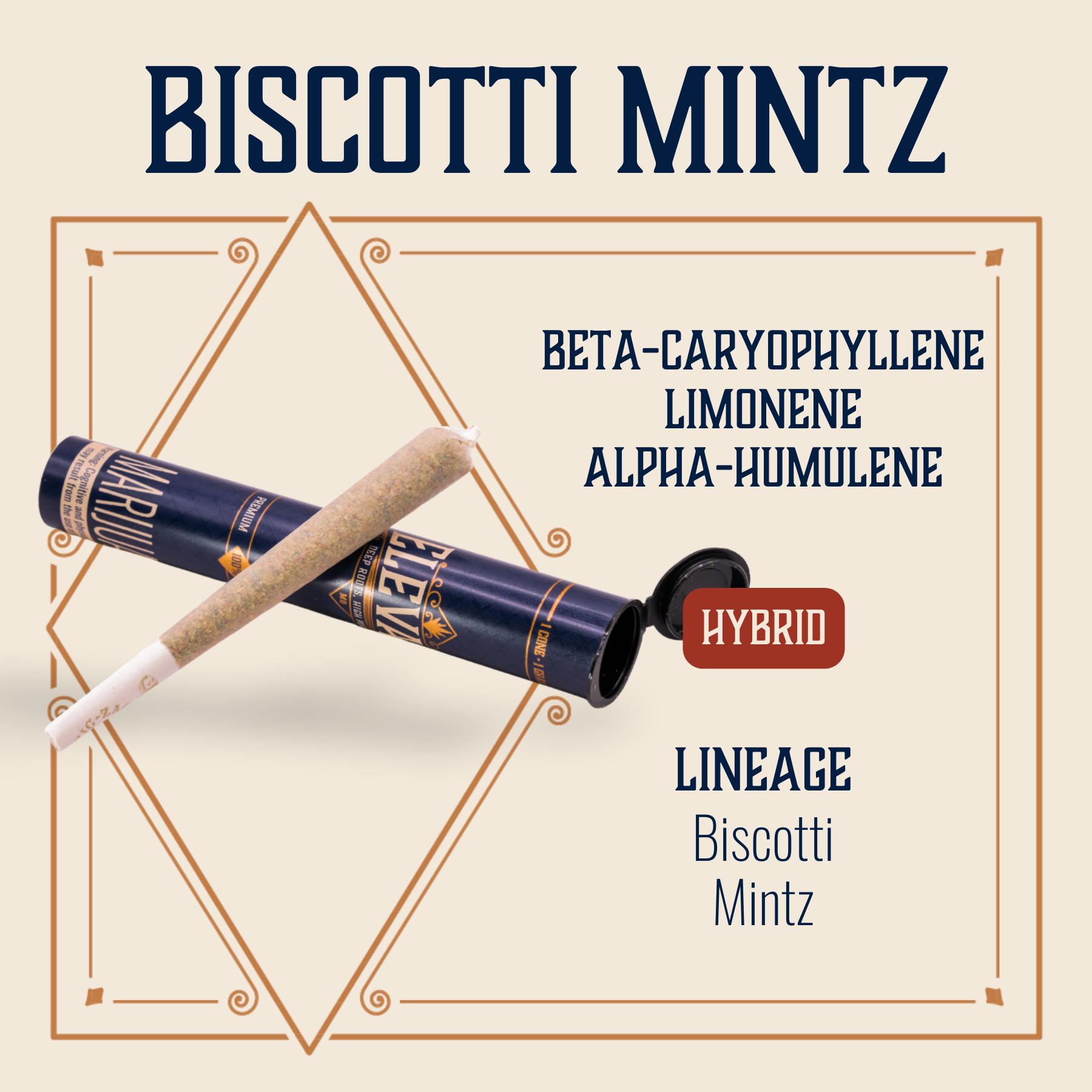 Photograph of product: Biscotti Mintz Pre-Roll | 1g
