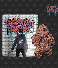 Photograph of product: Seed Junky | Pre Packed 3.5g | Permanent Marker
