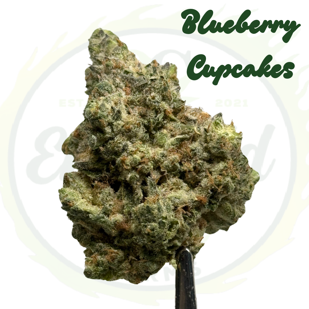 Photograph of product: Blueberry Cupcake - Vivid Farms - 1g