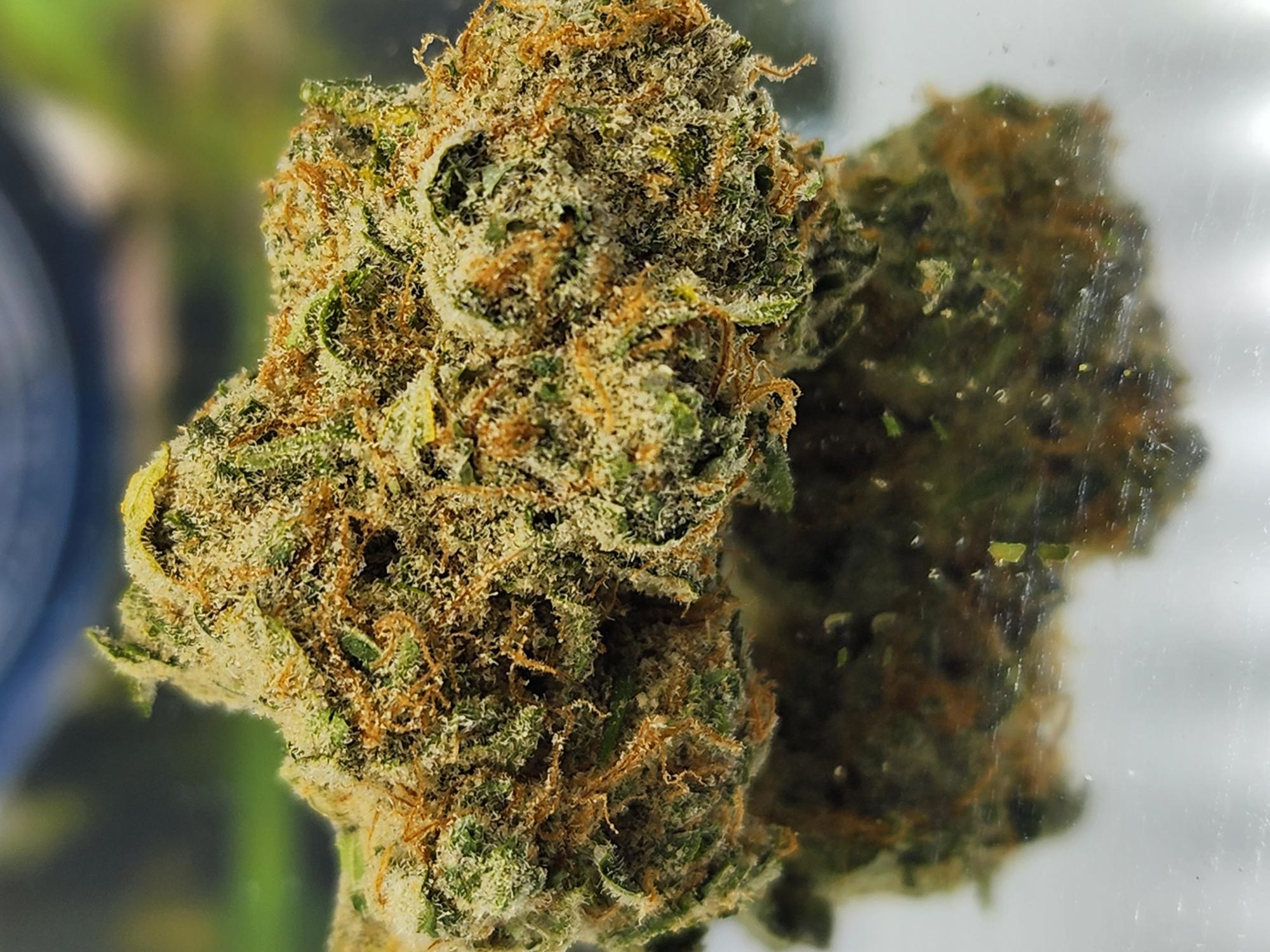 Photograph of product: Flower | Betrayal OG - 28g