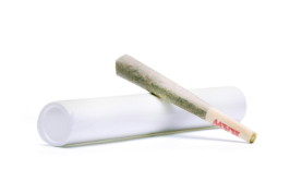 Photograph of Product: GMO [I] - Preroll Pack
