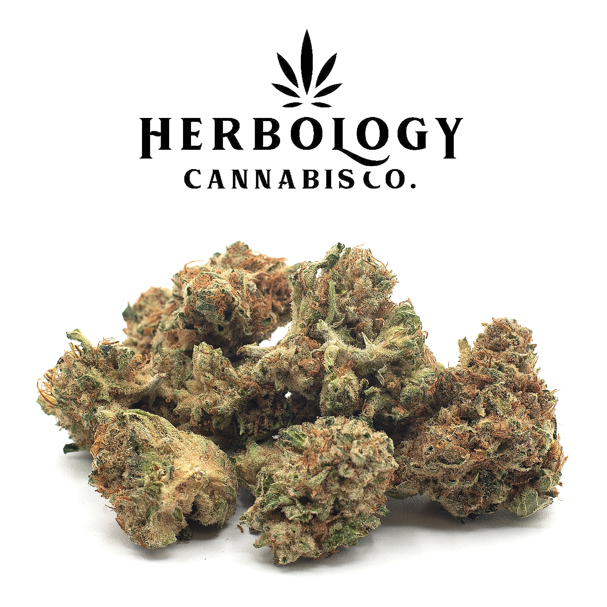 Photograph of product: Pro Gro | Moonbow #112 | Deli - 28g