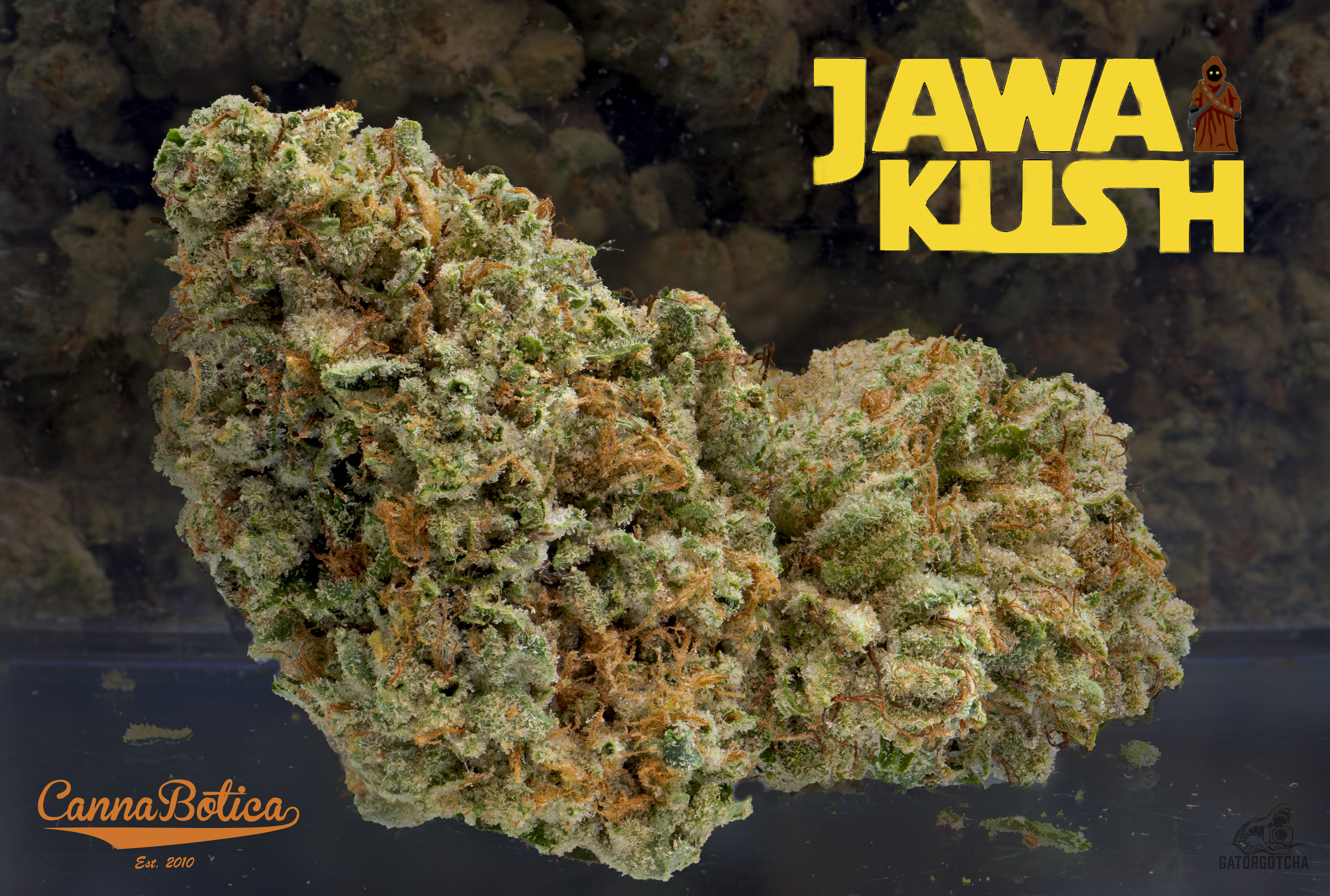 Photograph of product: Jawa Kush -Oui'd- - 1g