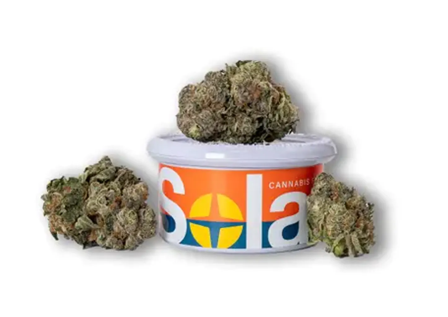 Photograph of product: Flower - Rainbow Pie - 3.5g