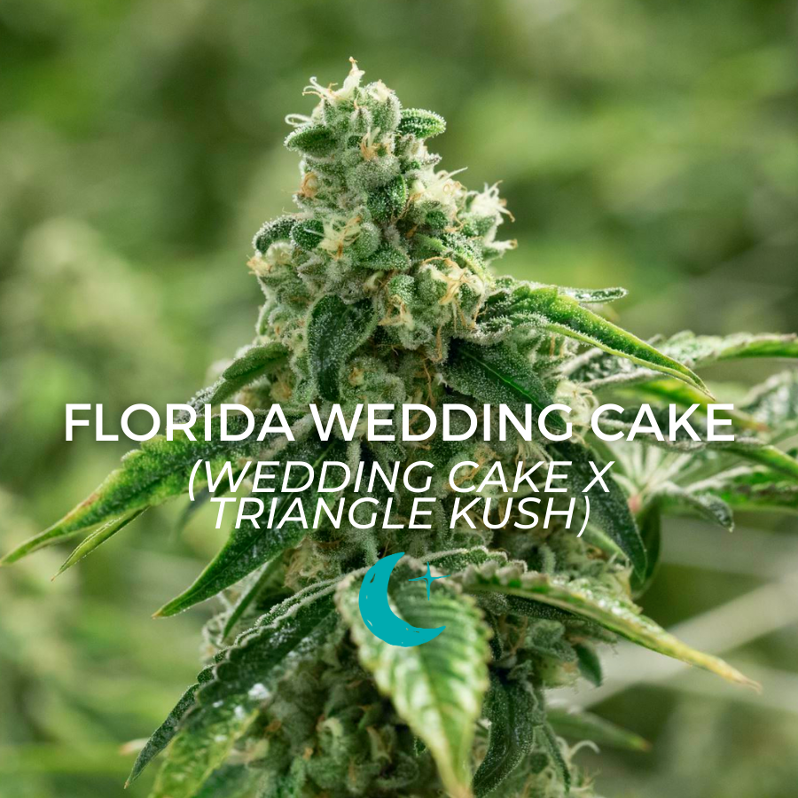 Photograph of product: Florida Wedding Cake - 14g