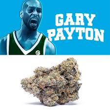 Photograph of product: COOKIES GARY PAYTON - 3.5g