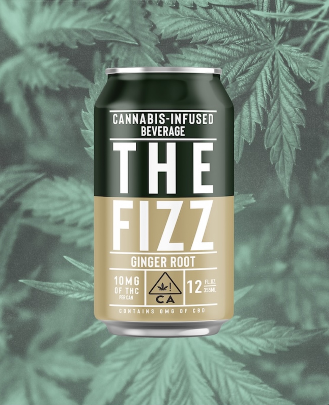 Photograph of product: Ginger Root | 10mg | The Fizz |