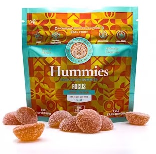 Photograph of product: Focus Citrus Gummies | 100MG 20PK (TAX INCLUDED)