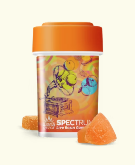 Photograph of product: Citrus Sorbet | Rosin Gummies | 100mg