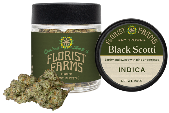 Photograph of product: Black Scotti - () - 7g