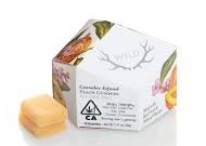 Photograph of product: Peach 2:1 Gummies 10pk