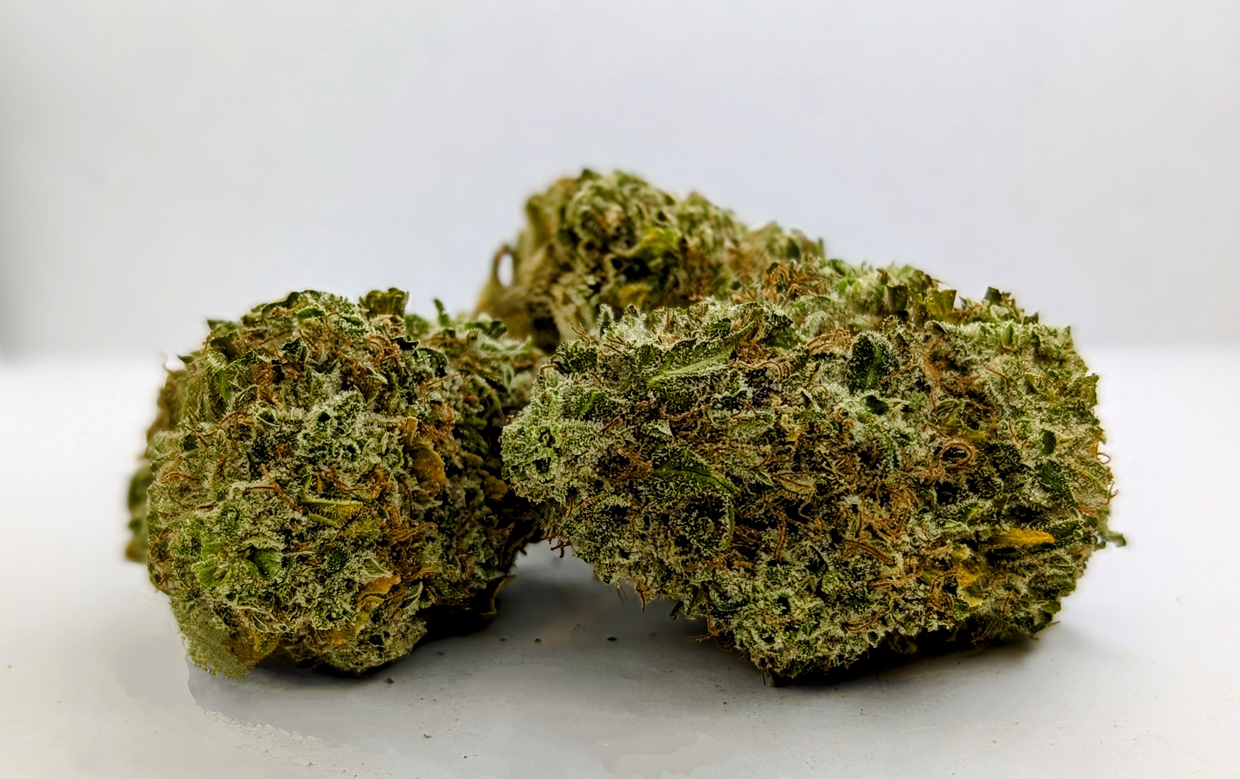 Photograph of product: Amnesia Fast | Popcorn - 3.5g