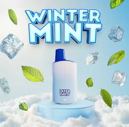 Photograph of product: Winter Mint (2g Disposable Vape)