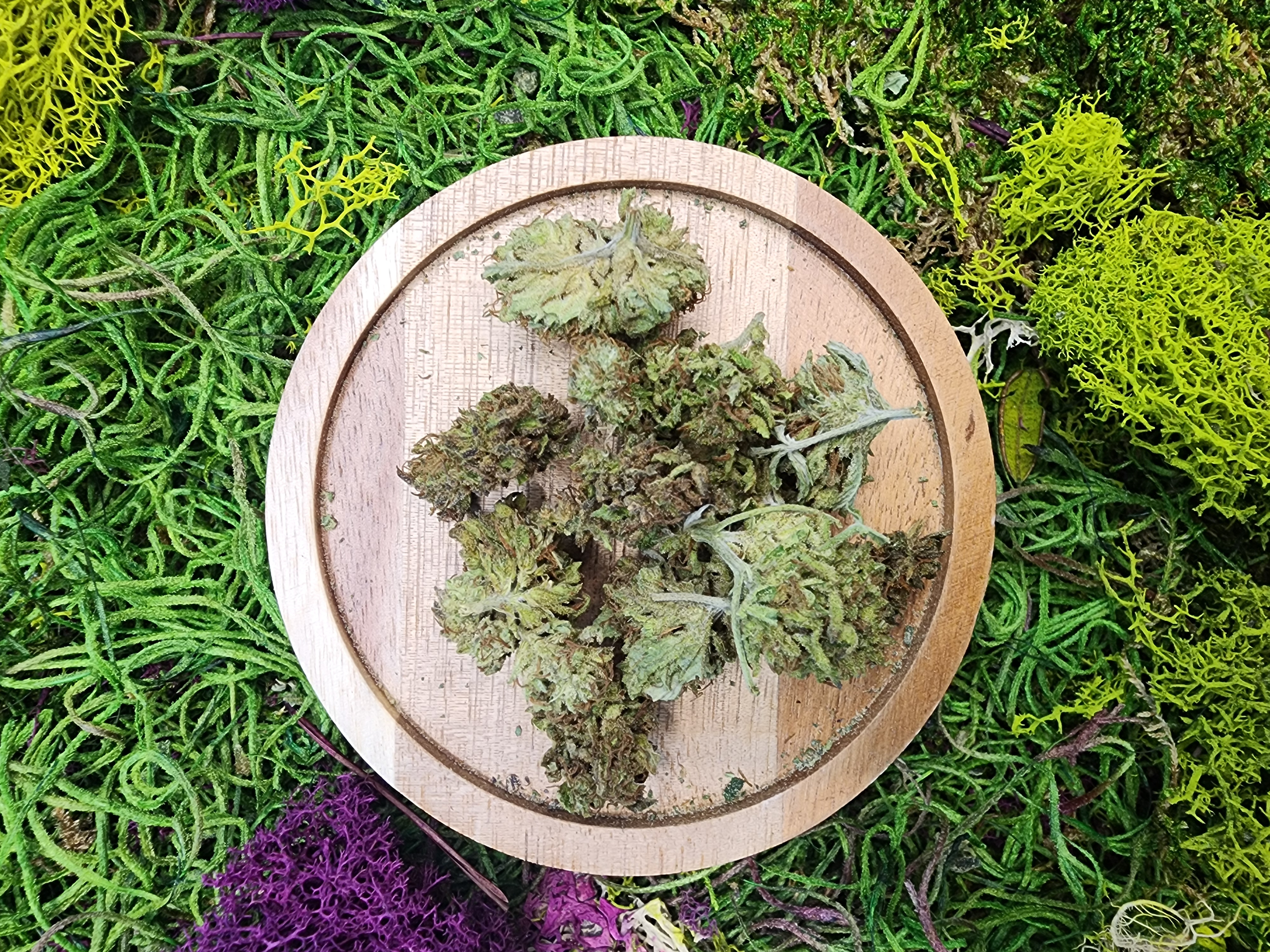 Photograph of product: 28G ORANGE CREAM POP OZ SPECIAL