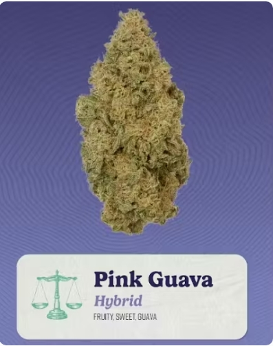 Photograph of product: Kind Tree 3.5g- Pink Guava