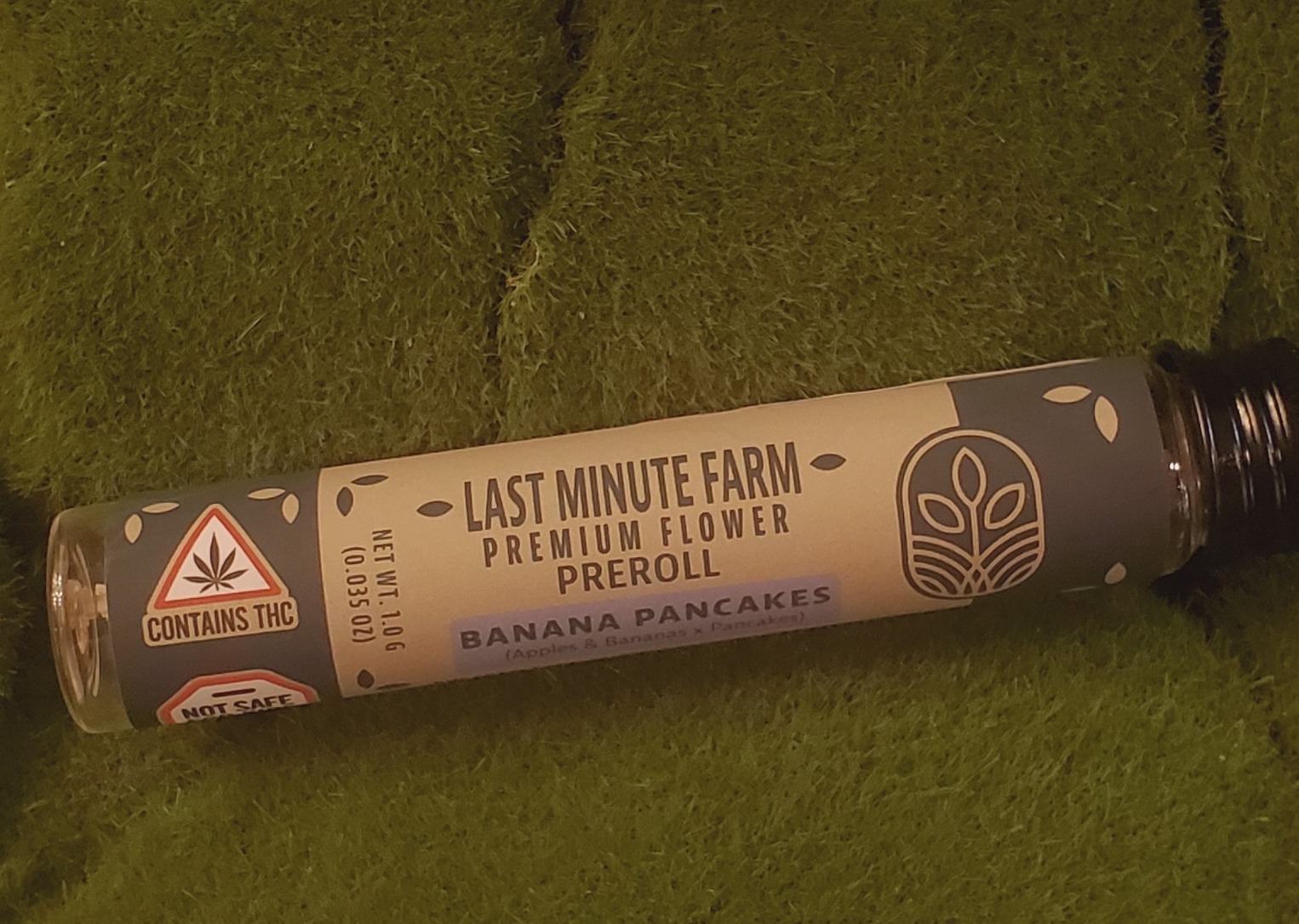 Photograph of product: Pre Roll Single | Banana Pancakes | Last Minute Farm