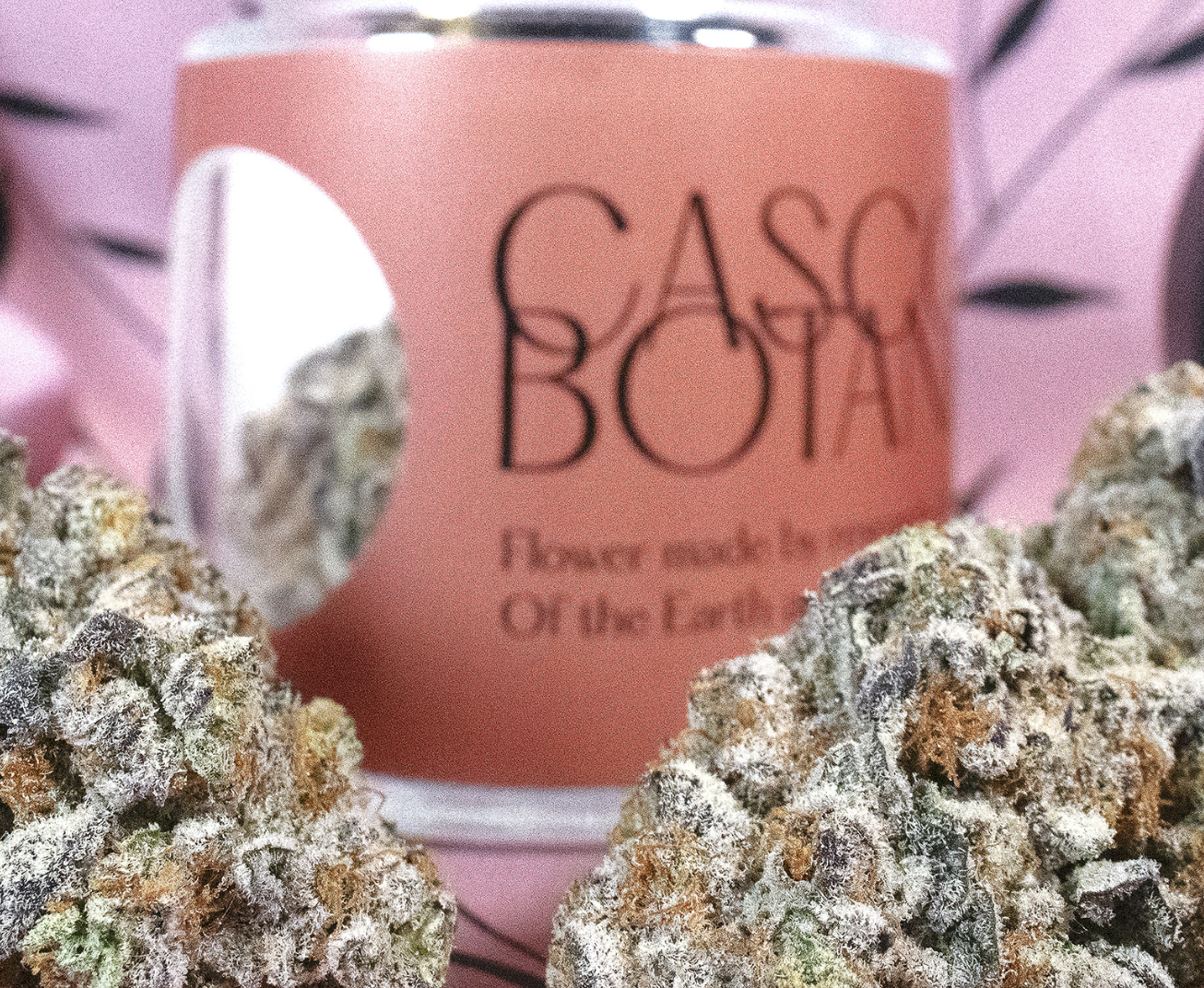 Photograph of product: Casco B | Mercury Blues | Bulk Flower - 28g