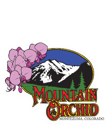 Photograph of Product: Lemon Creamsicle (S/H) By Mountain Orchid - REC - Bulk - 14g