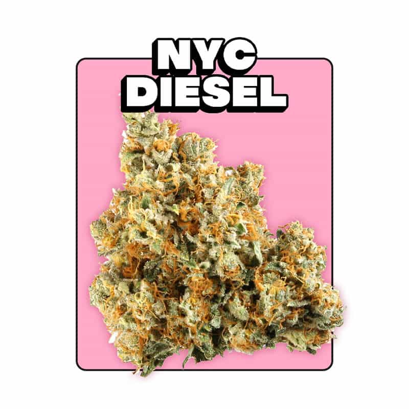 Photograph of product: Animal | NYC Diesel | 2pk Infused Preroll | 1G |