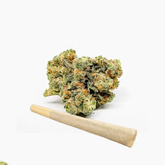 Photograph of product: PRJ Single | Funky Falcon