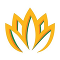thumbnail-Size Logo for storeLogo: Flower Recreational and Medical Dispensary
