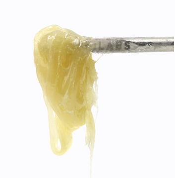 Photograph of product: Fresh-Pressed Live Rosin - Z Pie (S/H)