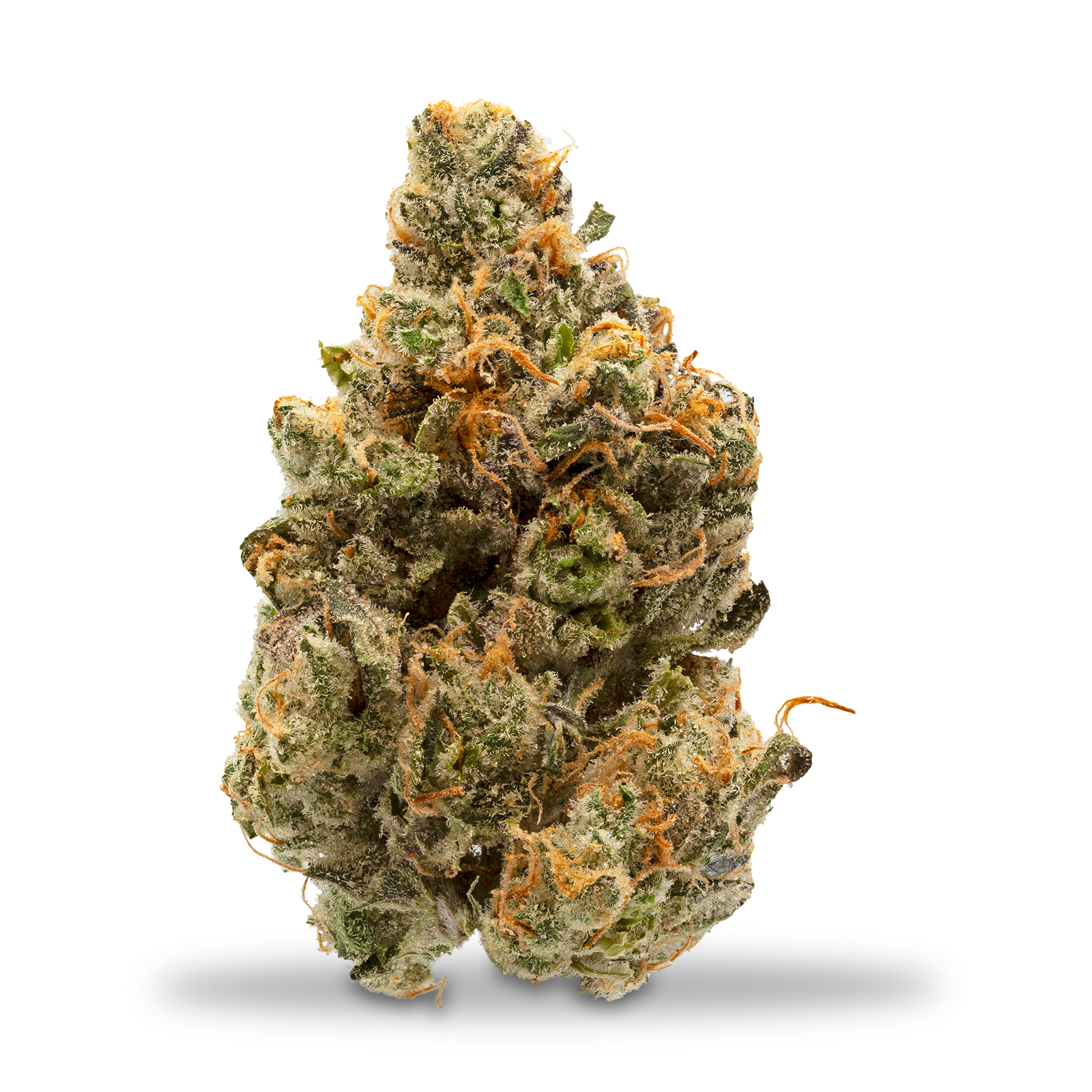 Photograph of product: Pacific Grove - Frenchie - 1g