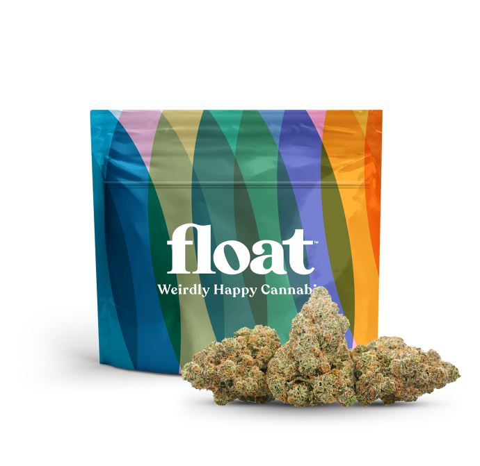 Photograph of product: White Hot Guava 14 x Black Velvet (Hybrid) - Flower, - 28g