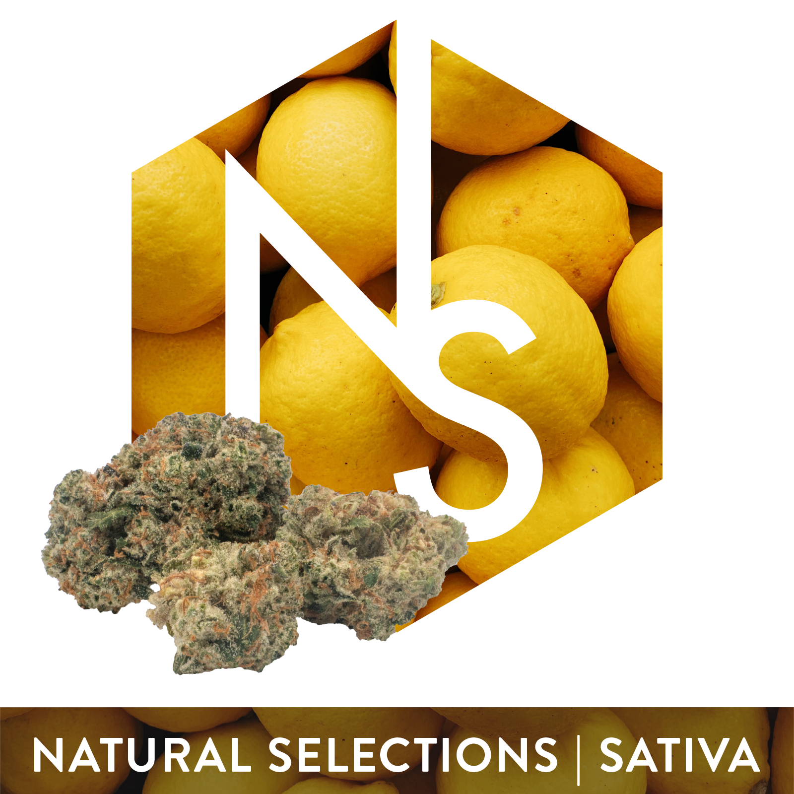 Photograph of product: Super Lemon Haze #6 - 3.5g