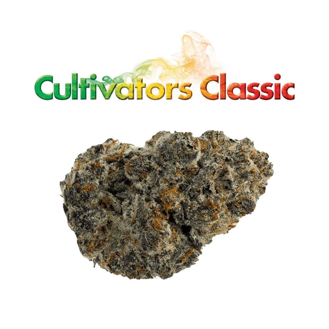 Photograph of product: Cultivators Classic I Flower I Champaya - 3.5g