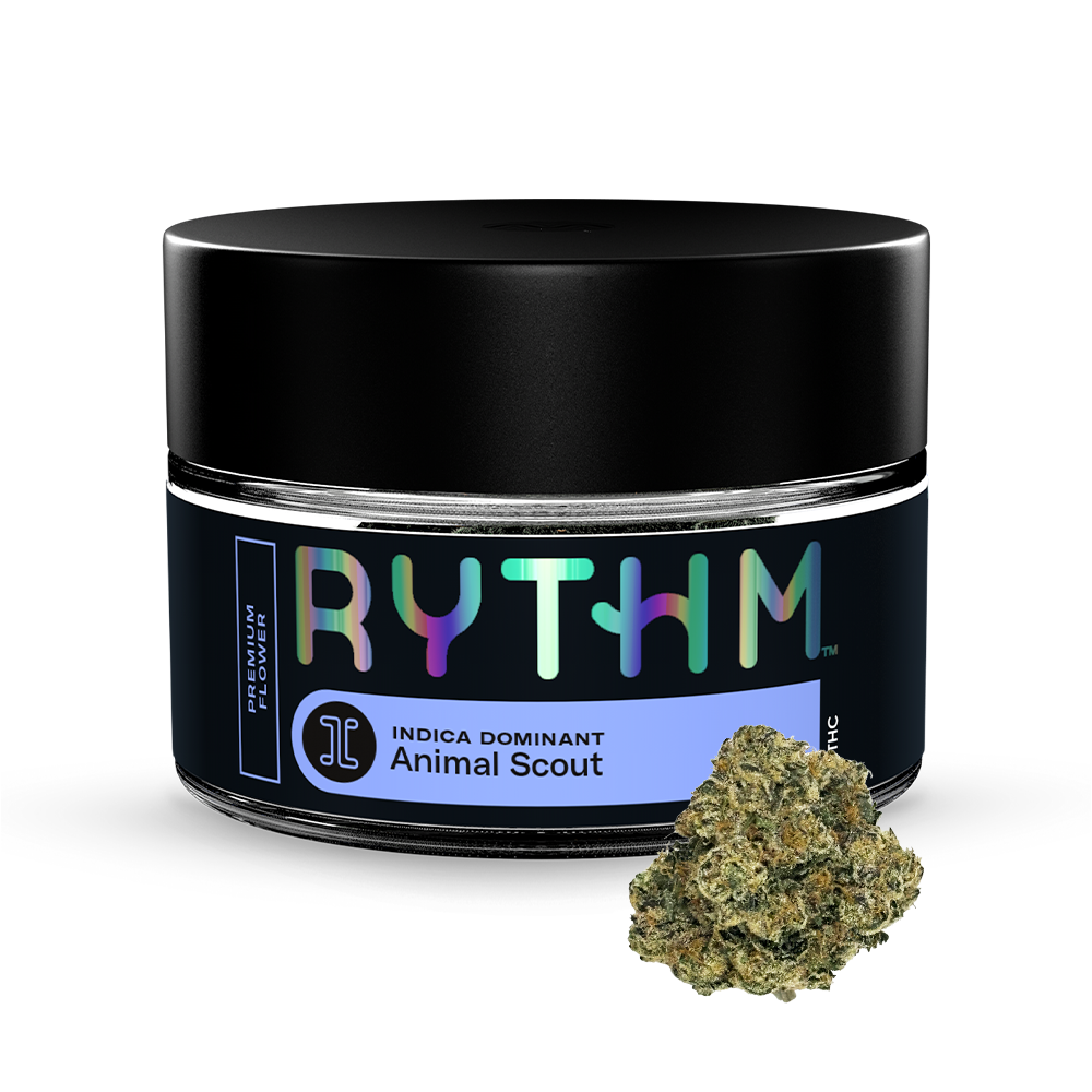 Photograph of product: Animal Scout | Premium Flower | Oui'd | 2.83g